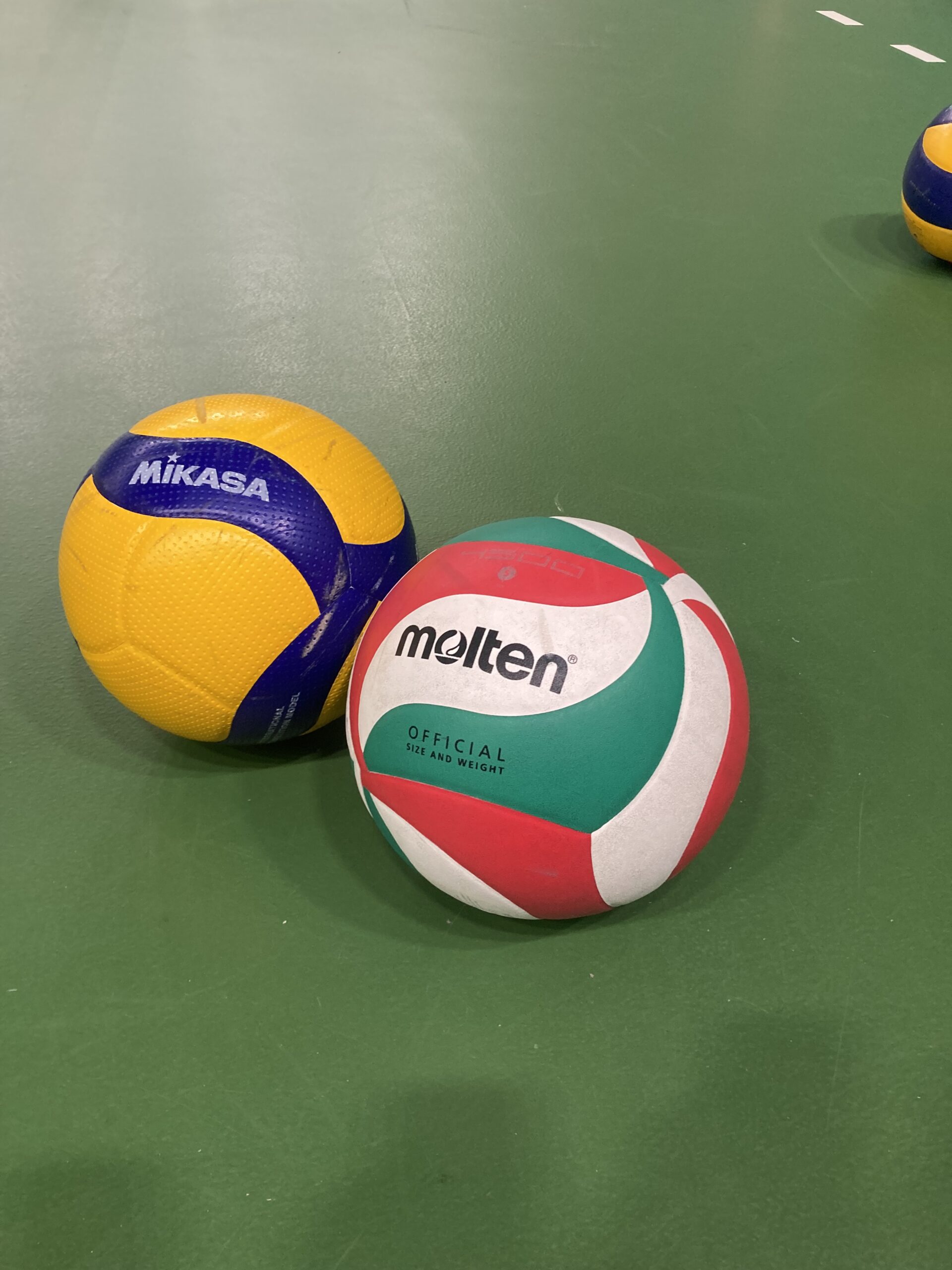 comparaison 2 ballons officiels de volley-ball